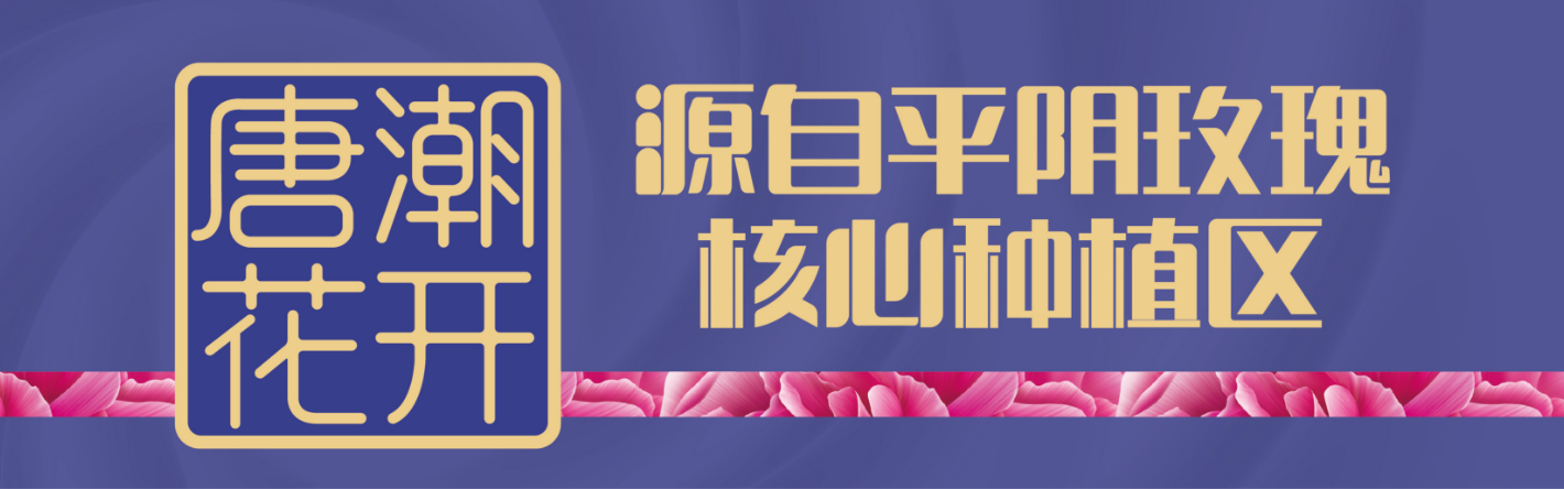 微信图片_20230407164059.png