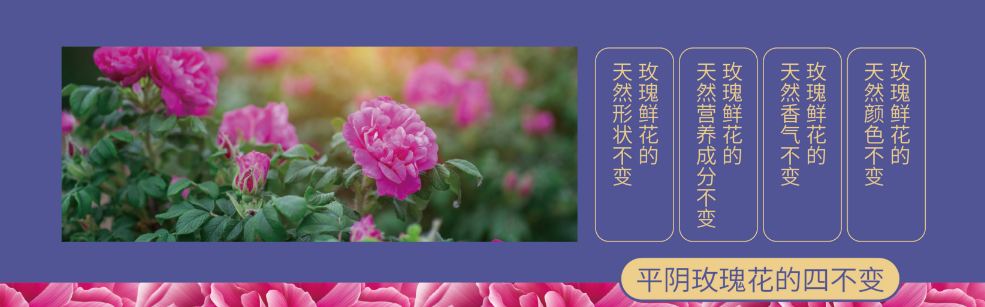 微信图片_20230407164826.png